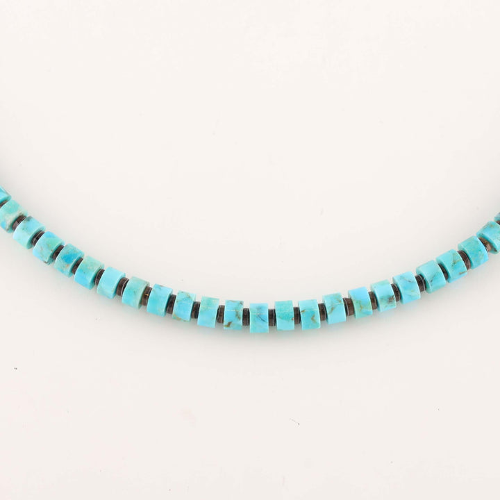 Sleeping Beauty Turquoise Necklace