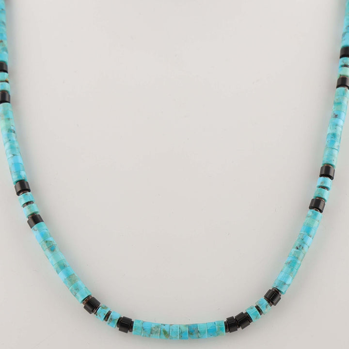 Turquoise and Jet Necklace