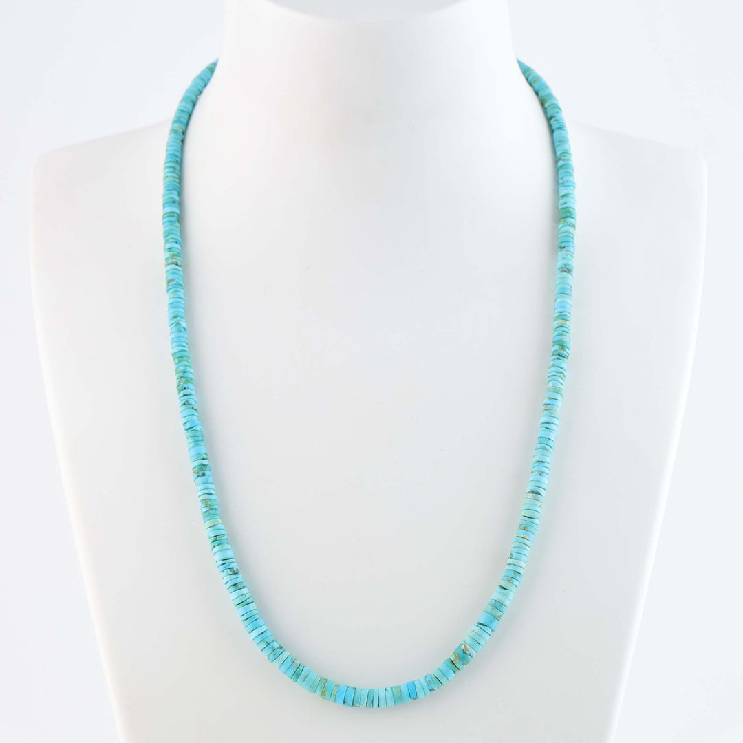 Santo Domingo Sleeping Beauty Turquoise Necklace