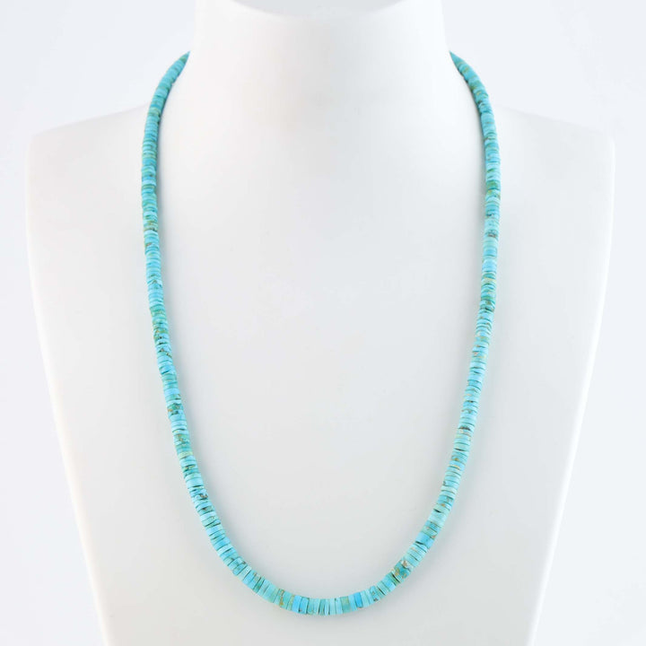 Santo Domingo Sleeping Beauty Turquoise Necklace