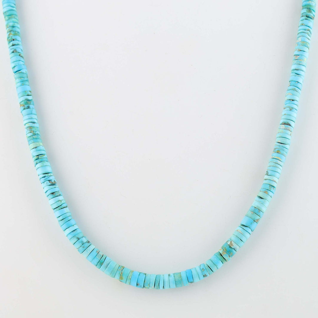 Santo Domingo Sleeping Beauty Turquoise Necklace