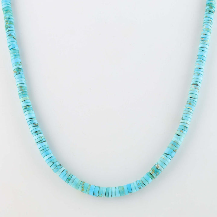 Santo Domingo Sleeping Beauty Turquoise Necklace