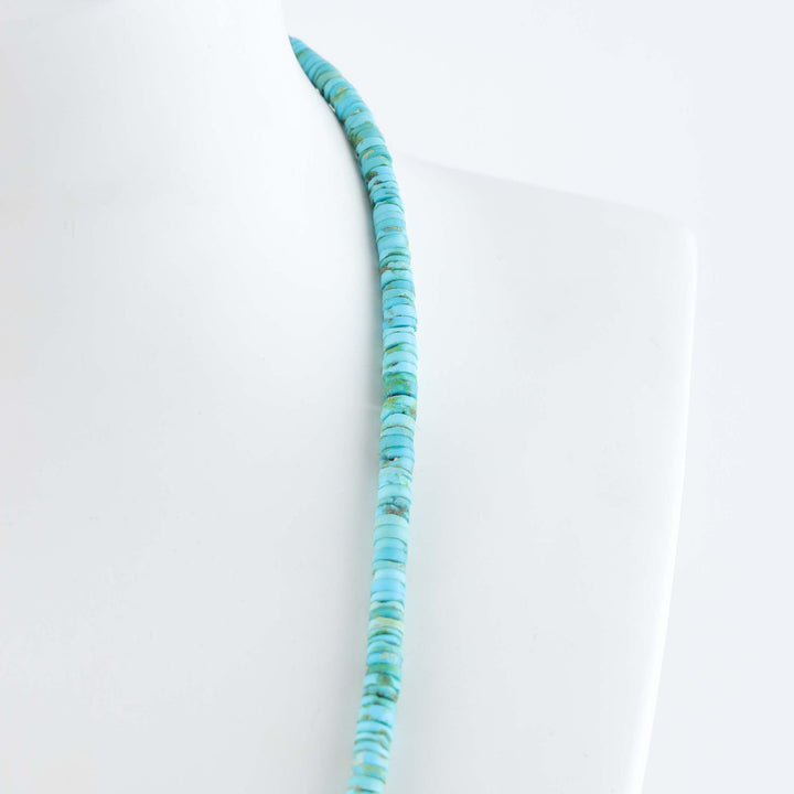 Santo Domingo Sleeping Beauty Turquoise Necklace