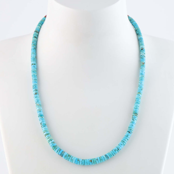 Santo Domingo Sleeping Beauty Turquoise Necklace
