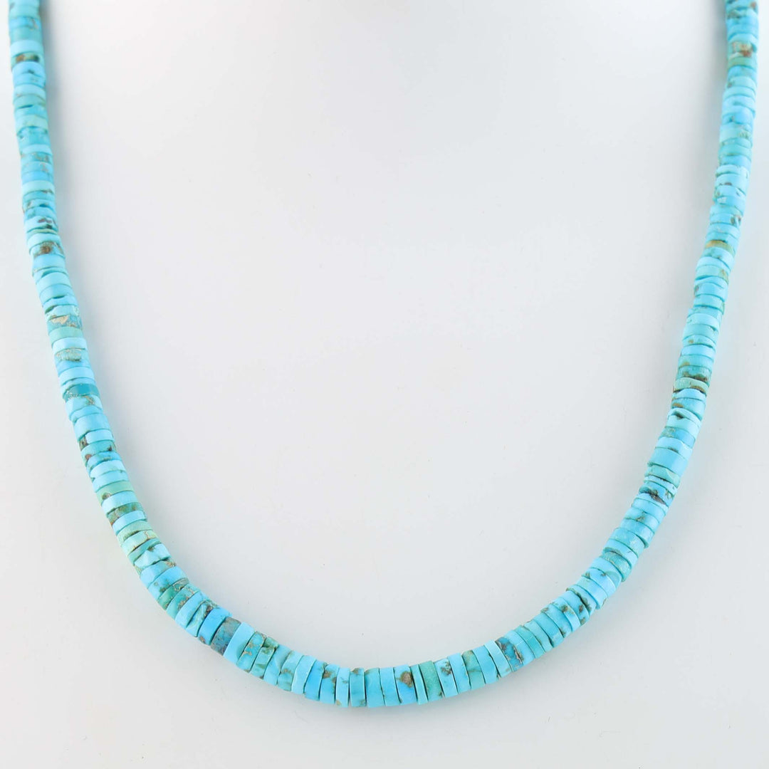Santo Domingo Sleeping Beauty Turquoise Necklace