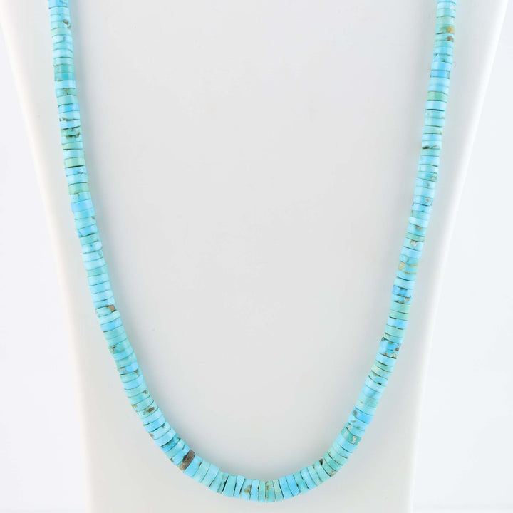 Santo Domingo Sleeping Beauty Turquoise Necklace