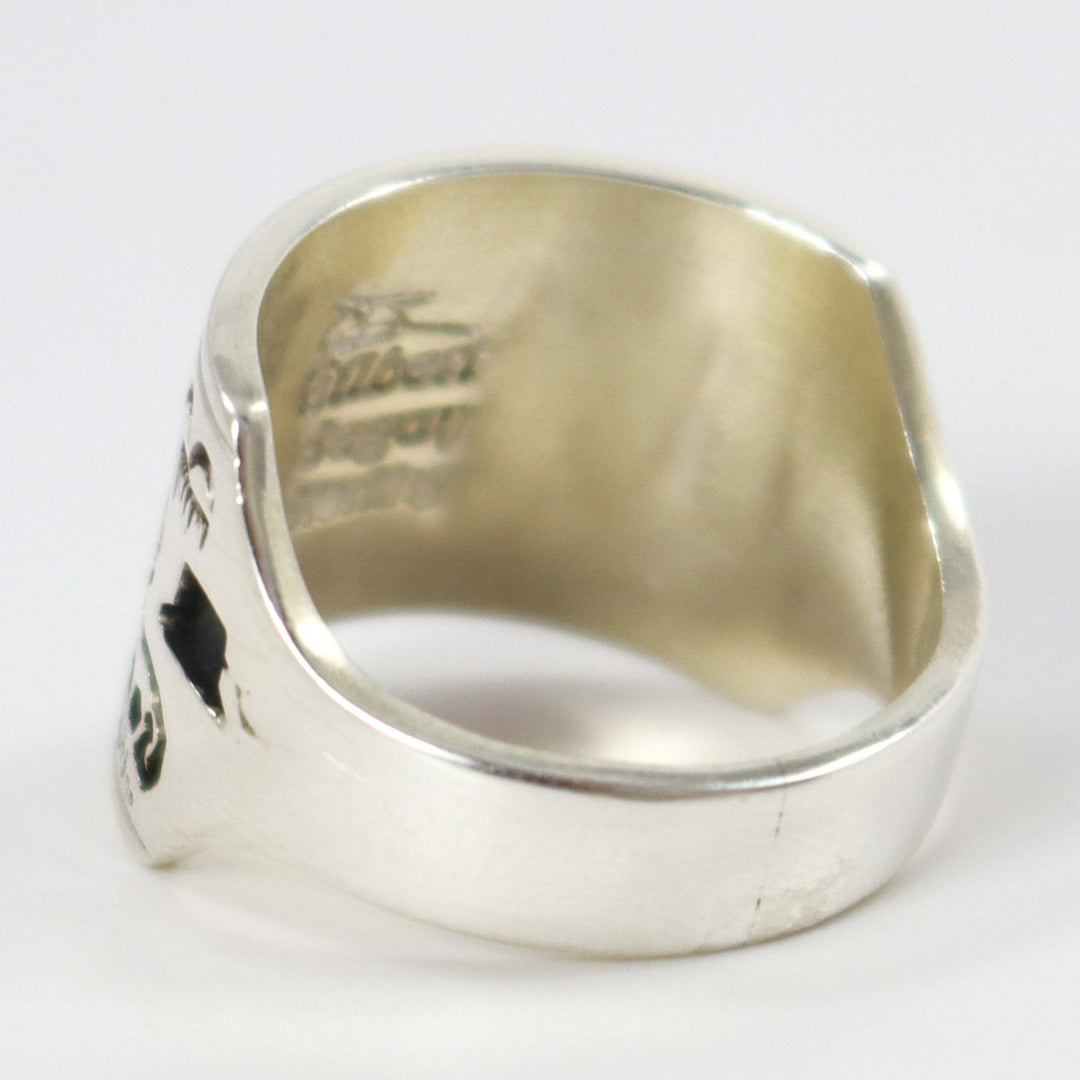 Turquoise Storyteller Ring