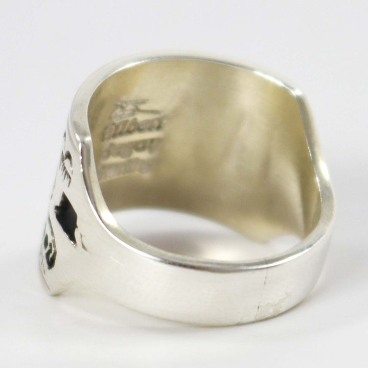 Turquoise Storyteller Ring