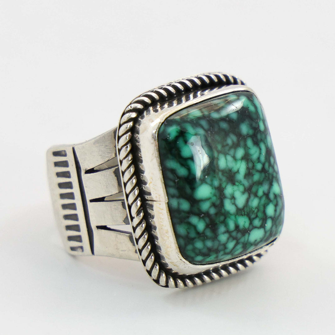Skyfox Turquoise Ring