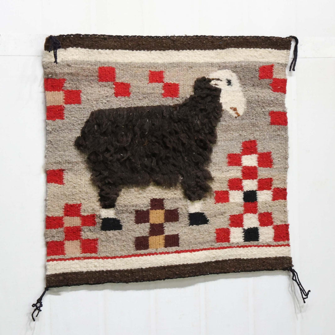 Sheep Pictorial