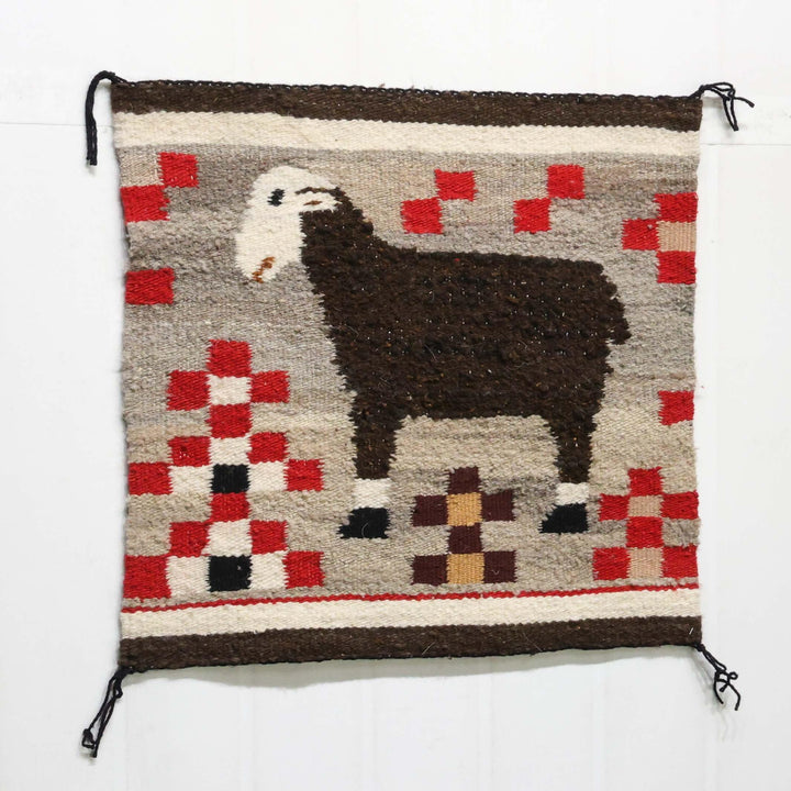 Sheep Pictorial