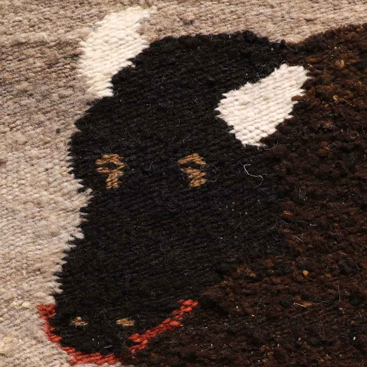 American Bison Pictorial