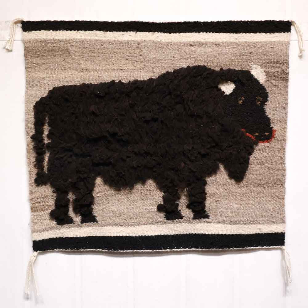 American Bison Pictorial