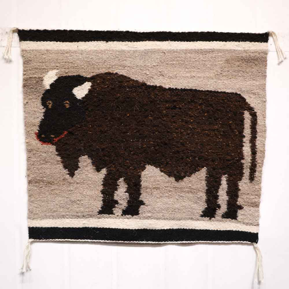 American Bison Pictorial