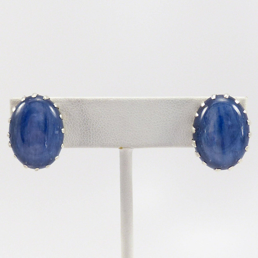 Kyanite Earrings by Debbie Silversmith - Garland's