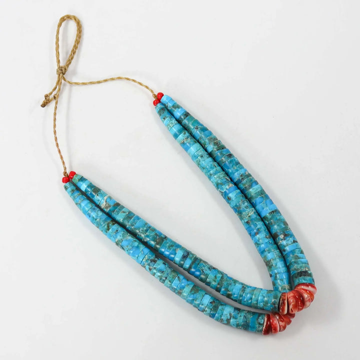 Turquoise and Spiny Jacla by Raymond Tenorio - Garland's
