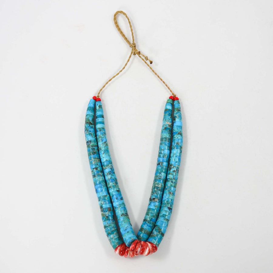 Turquoise and Spiny Jacla by Raymond Tenorio - Garland's